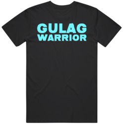 Gulag Warrior Call of Duty Warzone Gamer Fan v3 T Shirt