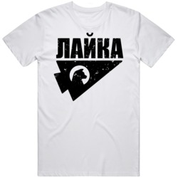 Kate Bishop Hawkeye series Fan Distressed  T Shirt