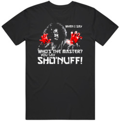 The Master The Last Dragon Movie Fan  T Shirt