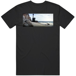 Planet Of The Apes Final Scene Retro Cult Classic Fan   T Shirt