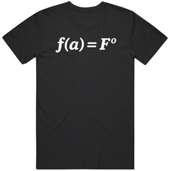 FAFO Math Equation Funny Humor Great Gift Idea T Shirt