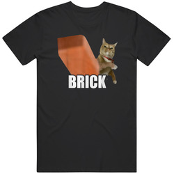 Funny Cat Throwing Brick Silly Cats Meme Brainrot T Shirt