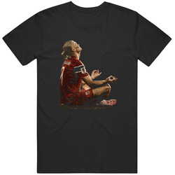 Erling Haaland Norway Legend Football zen Celebration Streetwear Cool Graphic v2 T Shirt