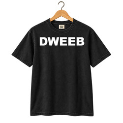 Retro Funny Old School Insult DWEEB Cool Gift Idea Fan T Shirt