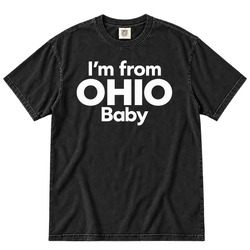 Funny Lebron James I'm From Ohio Baby Gift Idea Fan v3 T Shirt