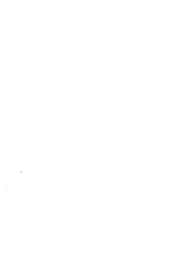 https://s3.us-west-1.wasabisys.com/ecart-content/tshirtczar.com/overlays/271/005/27100517.png img