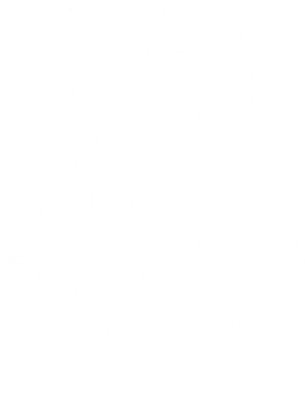 https://s3.us-west-1.wasabisys.com/ecart-content/tshirtczar.com/overlays/311/917/31191784.png img