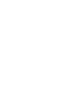 https://s3.us-west-1.wasabisys.com/ecart-content/tshirtczar.com/overlays/315/155/31515594.png img