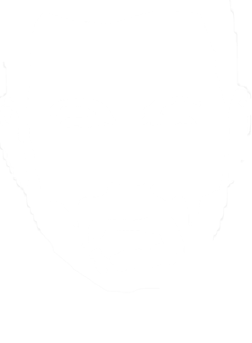 https://s3.us-west-1.wasabisys.com/ecart-content/tshirtczar.com/overlays/317/279/31727917.png img