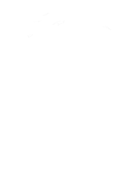https://s3.us-west-1.wasabisys.com/ecart-content/tshirtczar.com/overlays/342/836/34283624.png img