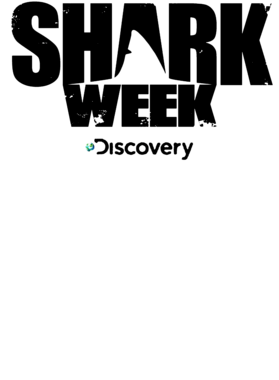 https://s3.us-west-1.wasabisys.com/ecart-content/tshirtczar.com/overlays/344/394/34439446.png img