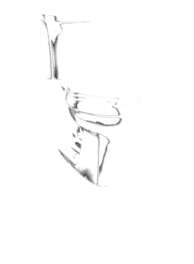 https://s3.us-west-1.wasabisys.com/ecart-content/tshirtczar.com/overlays/358/215/35821532.png img