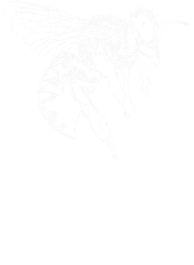 https://s3.us-west-1.wasabisys.com/ecart-content/tshirtczar.com/overlays/361/013/36101363.png img