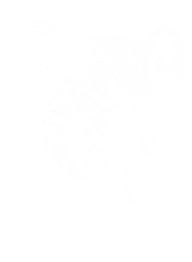 https://s3.us-west-1.wasabisys.com/ecart-content/tshirtczar.com/overlays/361/013/36101369.png img