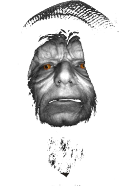 overlay