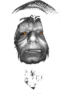 overlay