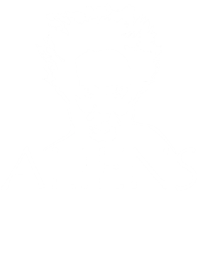https://s3.us-west-1.wasabisys.com/ecart-content/tshirtczar.com/overlays/366/102/36610255.png img