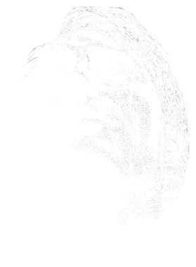 https://s3.us-west-1.wasabisys.com/ecart-content/tshirtczar.com/overlays/374/537/37453783.png img