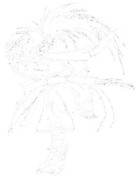 overlay