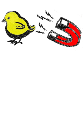 https://s3.us-west-1.wasabisys.com/ecart-content/tshirtczar.com/overlays/392/566/39256690.png img