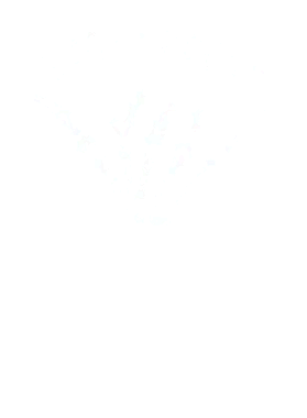 https://s3.us-west-1.wasabisys.com/ecart-content/tshirtczar.com/overlays/393/364/39336466.png img