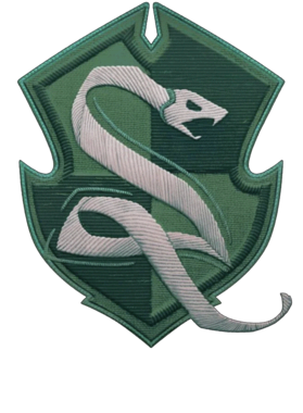 https://s3.us-west-1.wasabisys.com/ecart-content/tshirtczar.com/overlays/395/281/39528101.png img