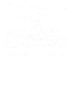 https://s3.us-west-1.wasabisys.com/ecart-content/tshirtczar.com/overlays/396/166/39616679.png img