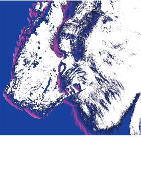 https://s3.us-west-1.wasabisys.com/ecart-content/tshirtczar.com/overlays/397/554/39755462.png img