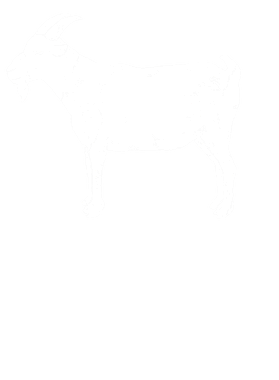 https://s3.us-west-1.wasabisys.com/ecart-content/tshirtczar.com/overlays/398/528/39852835.png img