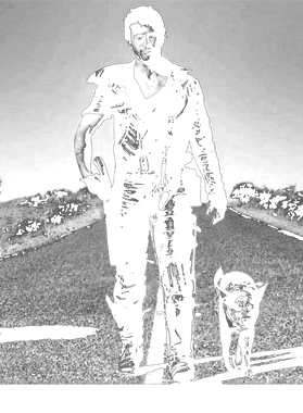 overlay