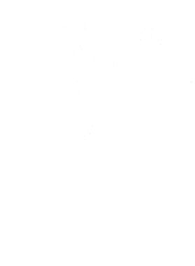 https://s3.us-west-1.wasabisys.com/ecart-content/tshirtczar.com/overlays/402/387/40238739.png img
