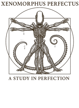 https://s3.us-west-1.wasabisys.com/ecart-content/tshirtczar.com/overlays/403/394/40339411.png img