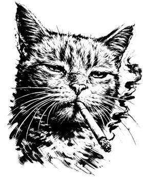 overlay