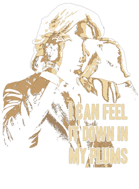 https://s3.us-west-1.wasabisys.com/ecart-content/tshirtczar.com/overlays/403/842/40384206.png img