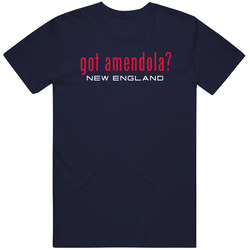 Got Danny Amendola New England Football Player Funny Fan Vintage Classic Navy Blue T Shirt