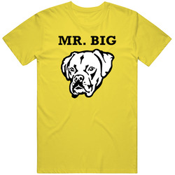 Mr. Big Boxer Big Head Pet Best Friend Dog Lover vintage retro daisy yellow T Shirt Mr. Big Boxer Big Head Pet Best Friend Dog Lover vintage retro daisy yellow T Shirt