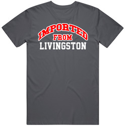 Imported From Livingston New Jersey Sports Team Trade Vintage Charcoal Grey Cotton T Shirt Imported From Livingston New Jersey Sports Team Trade Vintage Charcoal Grey Cotton T Shirt