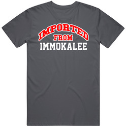 Imported From Immokalee Florida Sports Team Trade Vintage Charcoal Grey Cotton T Shirt