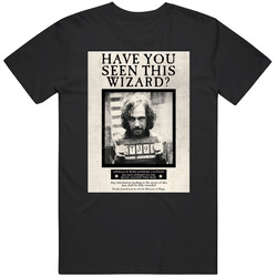 Have You Seen This Wizard Harry Potter Movie Series Fan Mens Size Large T Shirt Have You Seen This Wizard Harry Potter Movie Series Fan Mens Size Large T Shirt