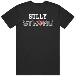 Sully Strong American Pride Family Last Name Cool Black MENS SIZE LARGE T Shirt Sully Strong American Pride Family Last Name Cool Black MENS SIZE LARGE T Shirt