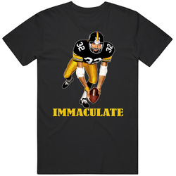 Immaculate Reception Pittsburgh Harris Steel Black MENS SIZE LARGE T Shirt Immaculate Reception Pittsburgh Harris Steel Black MENS SIZE LARGE T Shirt