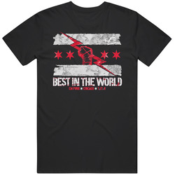 T-Shirt CM Punk Best in the World WWE Champion WWF Wrestling NWO Tee Unisex T Shirt T-Shirt CM Punk Best in the World WWE Champion WWF Wrestling NWO Tee Unisex T Shirt