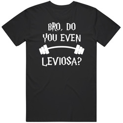 Harry Potter Bro Do Unisex T Shirt Harry Potter Bro Do Unisex T Shirt