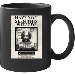 Have You Seen This Wizard Harry Potter Movie Series Fan 11 oz Mug Have You Seen This Wizard Harry Potter Movie Series Fan 11 oz Mug