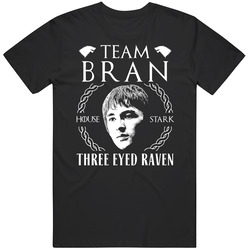 Team Bran Stark Three Eyed Raven Now Got Game Of Thrones Fan Vintage T Shirt