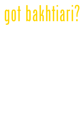 https://s3.us-west-1.wasabisys.com/ecart-content/verycooltshirts.com/overlays/401/788/40178831.png img