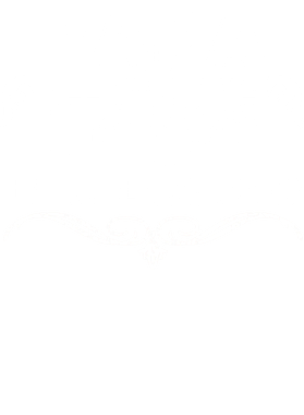 https://s3.us-west-1.wasabisys.com/ecart-content/verycooltshirts.com/overlays/402/165/40216505.png img