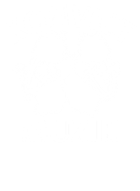 https://s3.us-west-1.wasabisys.com/ecart-content/verycooltshirts.com/overlays/402/271/40227163.png img