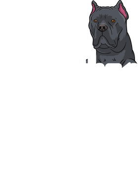 https://s3.us-west-1.wasabisys.com/ecart-content/verycooltshirts.com/overlays/402/272/40227238.png img