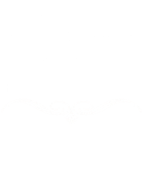 https://s3.us-west-1.wasabisys.com/ecart-content/verycooltshirts.com/overlays/402/275/40227553.png img